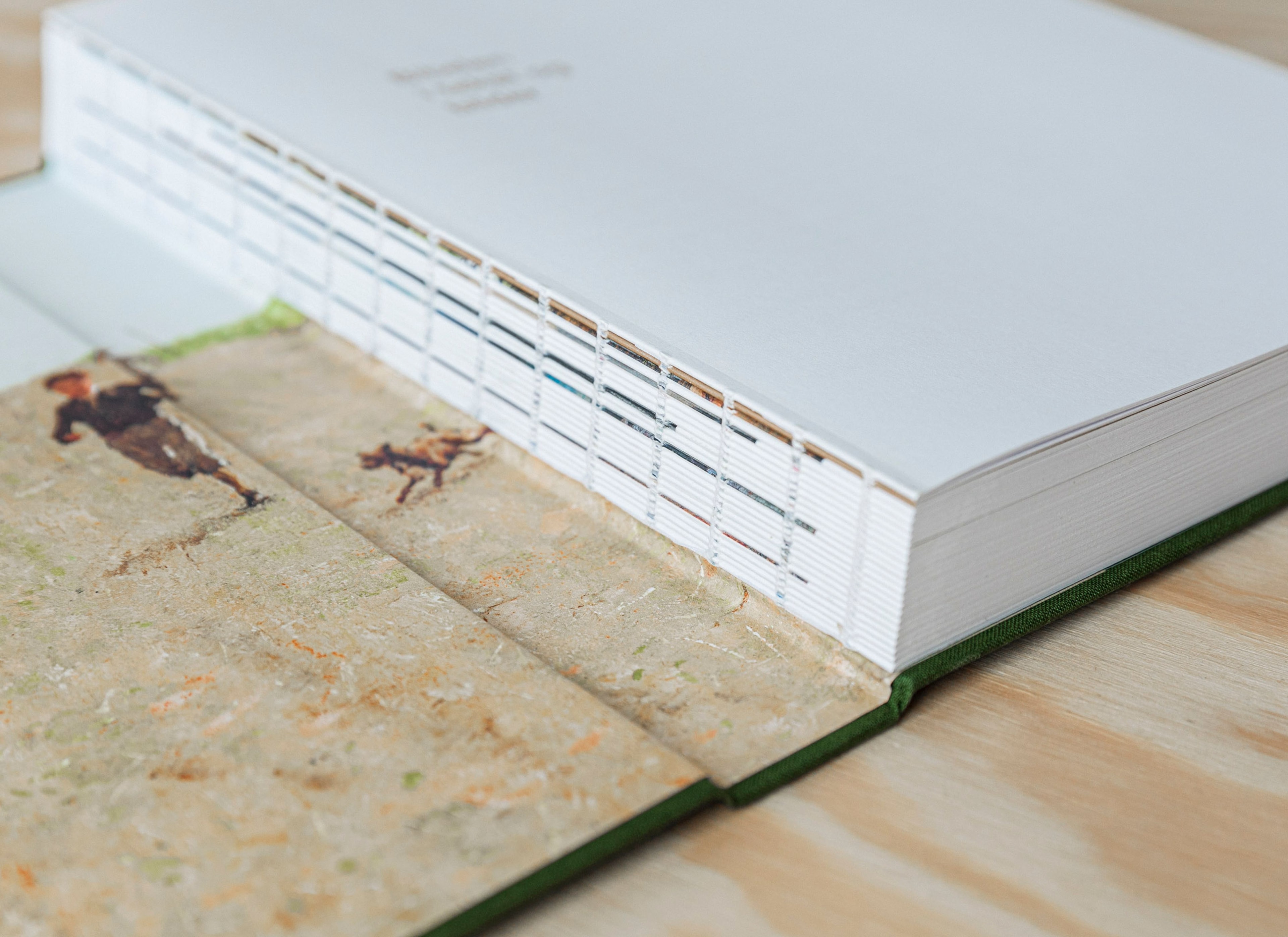 Bibelen i tekst og bilder rygg