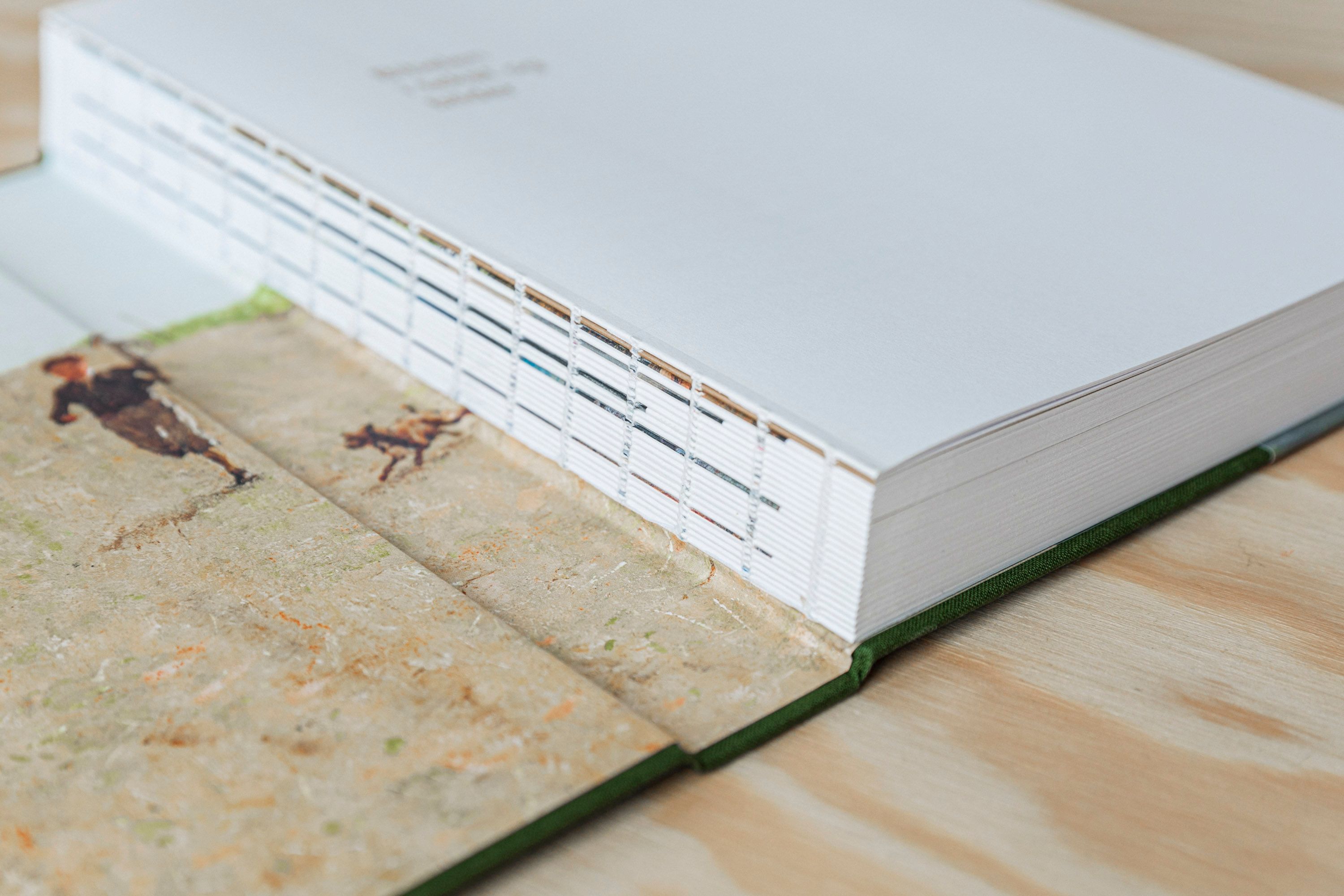 Bibelen i tekst og bilder rygg